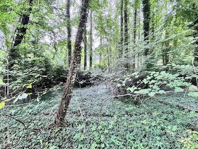 0 Glengary Dr unit 79, Flat Rock, NC 28731 - photo 5