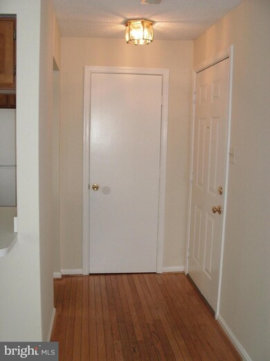 2609 Camelback Ln unit 8, Silver Spring, MD 20906 - photo 3
