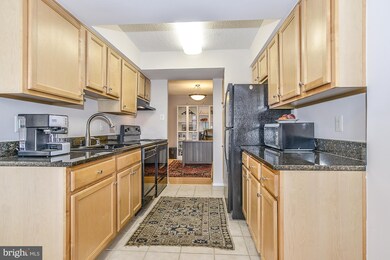 The Brittany unit 318, Arlington, VA 22204 - photo 3