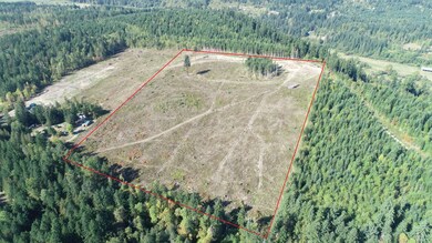 10119 Eatonville Hwy E, Eatonville, WA 98328 - photo 4