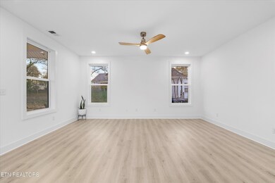 1117 Hiawassee Ave, Knoxville, TN 37917 - photo 7