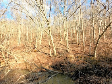 hillside