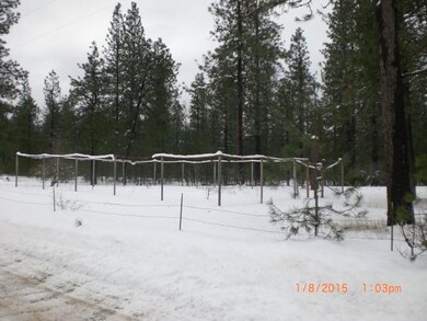 fenced garden area