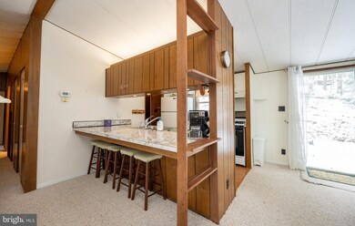 16 Lemley Dr, Oakland, MD 21550 - photo 7