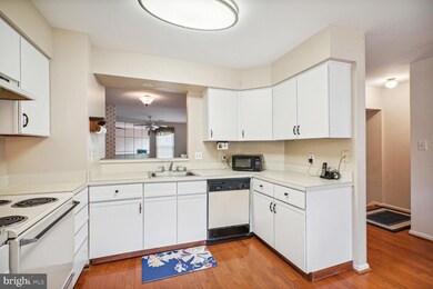 8511 Chapman Oak Ct, Springfield, VA 22153 - photo 4