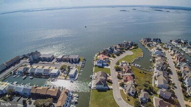 303 S Heron Gull Ct, Ocean City, MD 21842 - photo 7