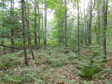 4810 Old Vanderbilt Rd, Vanderbilt, MI 49795 - photo 2