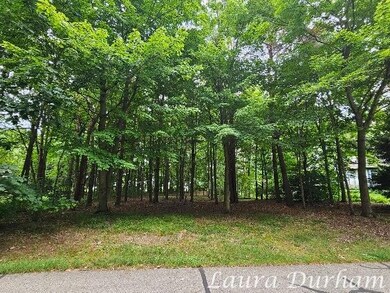 N of 3365 Clearview Ln, Saugatuck Township, MI 49453 - photo 4