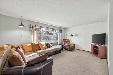 9800 129th Ln N, Champlin, MN 55316 - photo 6