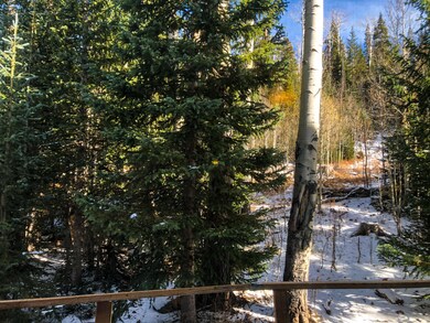 651 S Snowflake Ln unit Edelweiss  210, Brian Head, UT 84719 - photo 6