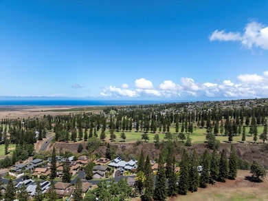 2740 Liholani St unit 10, Makawao, HI 96768 - photo 2