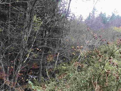 00 Mud Hollow Rd, Kirby, VT 05851 - photo 7