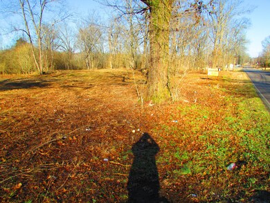 0 Mapleash Ave unit RTC2226655, Columbia, TN 38401 - photo 3