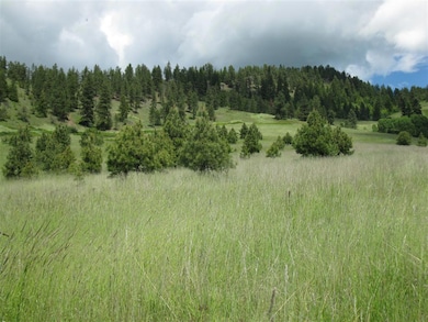 Valley view