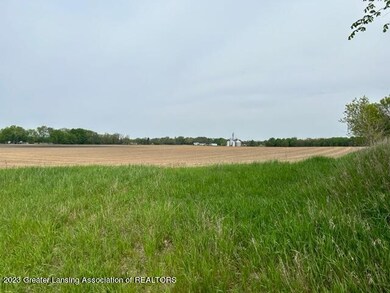 IMG_8978