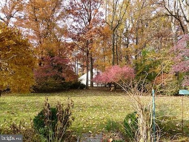 13304 Norden Dr, Silver Spring, MD 20906 - photo 6