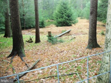 2040 Pine Grove Rd, Fayetteville, PA 17222 - photo 3