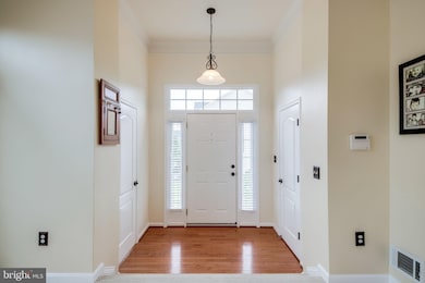 43117 Royal Fern Terrace, Broadlands, VA 20148 - photo 4