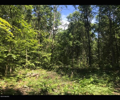 0 N Centerline Rd unit 18032500, White Cloud, MI 49349 - photo 7