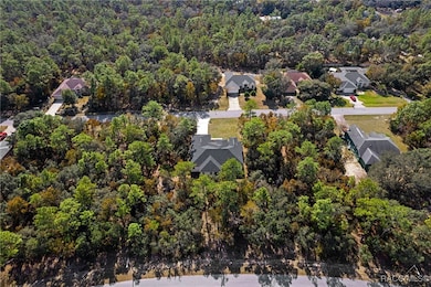 5507 W Paprika Loop, Homosassa, FL 34448 - photo 5