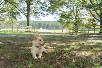 1963 Rehoboth Rd, Bowman, GA 30624 - photo 6