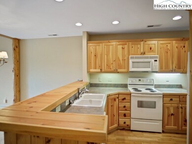 589 Peaceful Haven Dr unit N-3, Boone, NC 28607 - photo 5