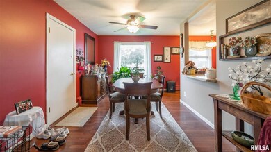 245 Regent St, Lincoln, IL 62656 - photo 4