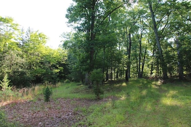 0 Easter Ridge Ln unit LotWP007 23743103, Gainesboro, VA 22603 - photo 6