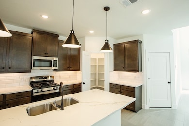 21134 Garden Palm Dr, Cypress, TX 77433 - photo 6