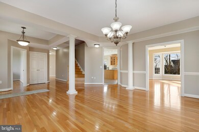 7 Smithfield Dr, Middletown, MD 21769 - photo 4