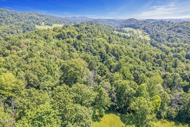 8355 Wagner Rd, Bristol, VA 24202 - photo 6