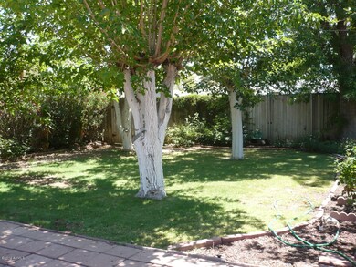 Back Yard, Mature Trees