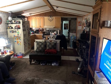 3906 Bottle Palm Ct, Plant City, FL 33566 - photo 4