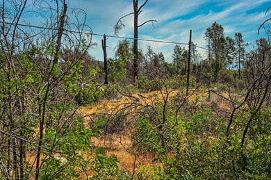 299 acreage-102