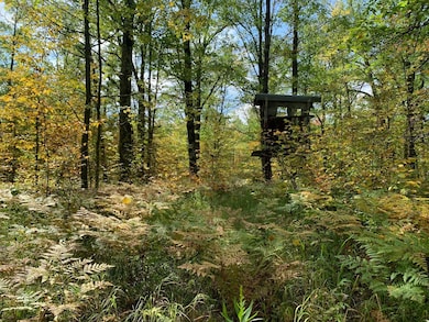 14331 395th Ln, Tamarack, MN 55787 - photo 2