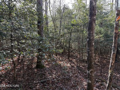 0 Walker Hollow Dr unit RTC3061466, Monterey, TN 38574 - photo 5