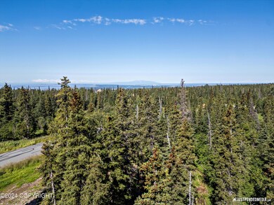03-DJI_0646
