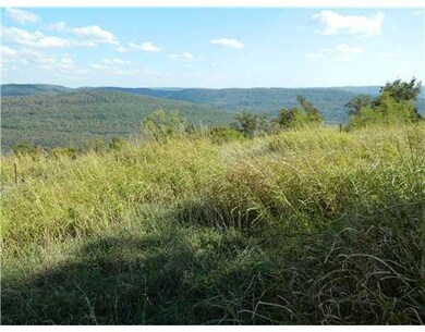 22308 N Highway 71, Winslow, AR 72959 - photo 3