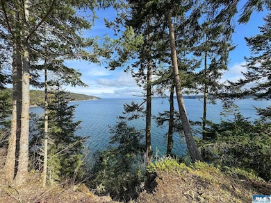 398 Daisey King Rd, Sequim, WA 98382 - photo 3