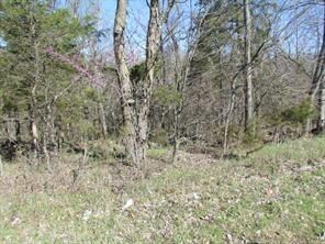 7.53 AC Whitehouse Rd, Fayetteville, AR 72701 - photo 2