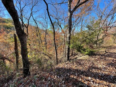 0 S 4507 Rd unit 2548217, Vian, OK 74962 - photo 3