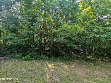 PXL_20250602_142943965