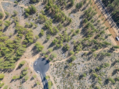 19141 Horizon View Dr, Bend, OR 97703 - photo 6