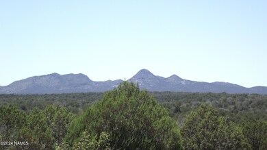 DSCF6955 1