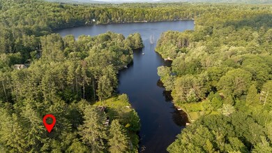 3 Berry Patch Ln, Hillsborough, NH 03244 - photo 6