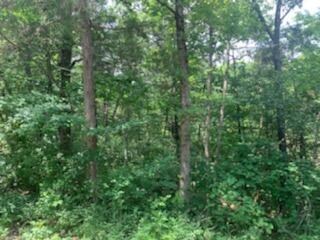 Peaceful Private Acreage