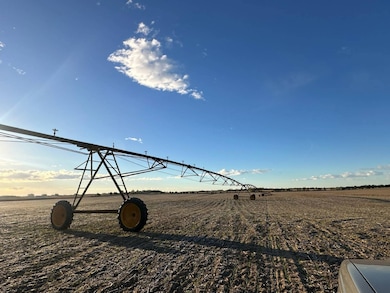 355 8th Ave, Palmer, NE 68864 - photo 6