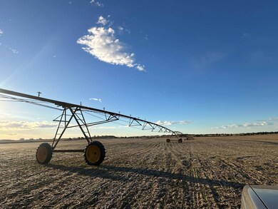 355 8th Ave, Saint Paul, NE 68873 - photo 6