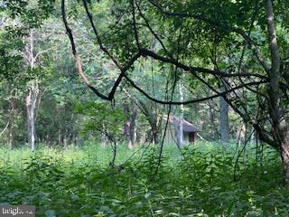 33 Walnut Bottom Hideaway, Moorefield, WV 26836 - photo 5