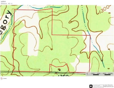 19723 Friendship Dr, Raymondville, MO 65555 - photo 5